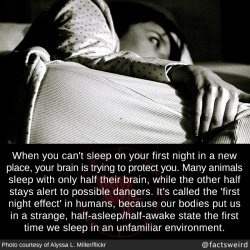 mindblowingfactz:  When you can’t sleep