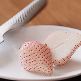   foodxpron: colors - WHITE  