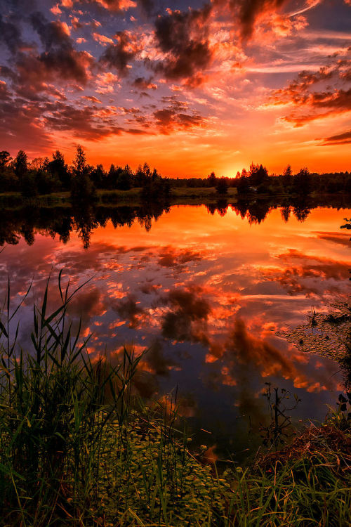 lori-rocks:Burning sunset… by Julia Laptev