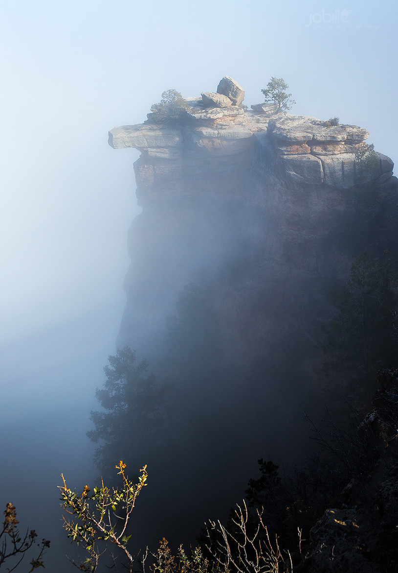 llbwwb:  Rare fog in Grand canyon by Jerome Obille   20/12/13