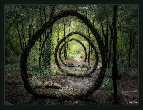 earth-witch:Forest Sculpture by Spencer Byleshttp://frenchforestsculptures.blogspot.com/