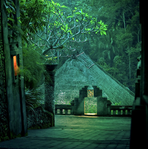 worldwaits:  Bali, Indonesia