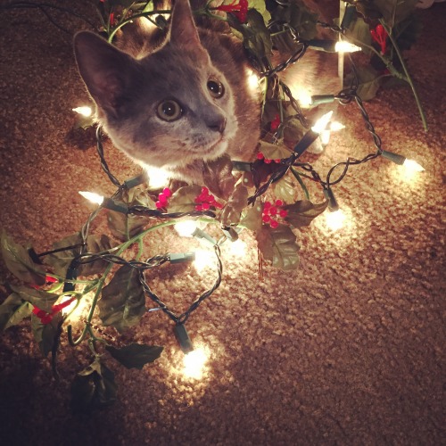 awwww! Cute!