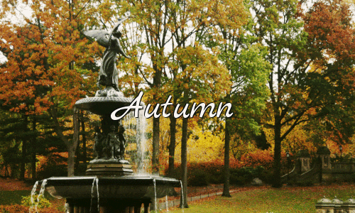 Autumn Is A Second Spring When Every Leaf Is A Flower - Albert Camus