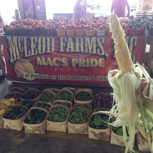 Raw, sweet corn is the absolute best! #southcarolina #farmersmarket #organic&countrylivin