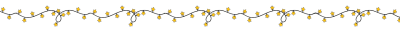 fairy lights