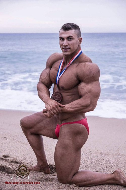 OC muscle