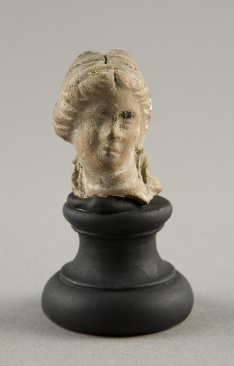 aic-ancient:Head of a Woman, Ancient Greek, Art Institute of Chicago: Ancient and Byzantine ArtMuseu
