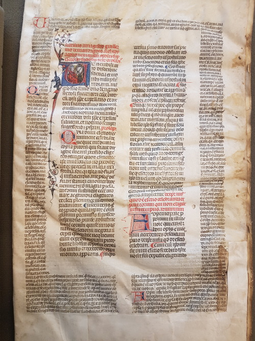 Ms. Codex 729 -[Libellus super electionibus faciendis et earum ordinandis]Probably written in France