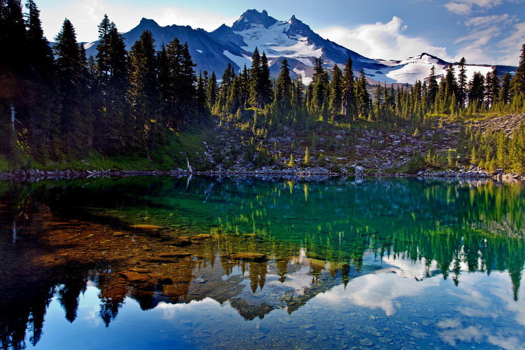 owakolf:  Nature Blog ▲Follow ninepulse for interesting, amazing, informative