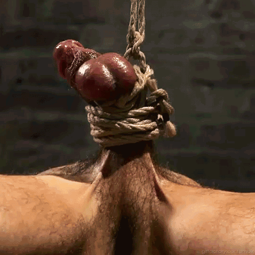 estimsteve:  kramtoad:  masterdariusr:  At the breaking point…  http://scaffies.nl/forums/topic/gif-at-the-breaking-point/
