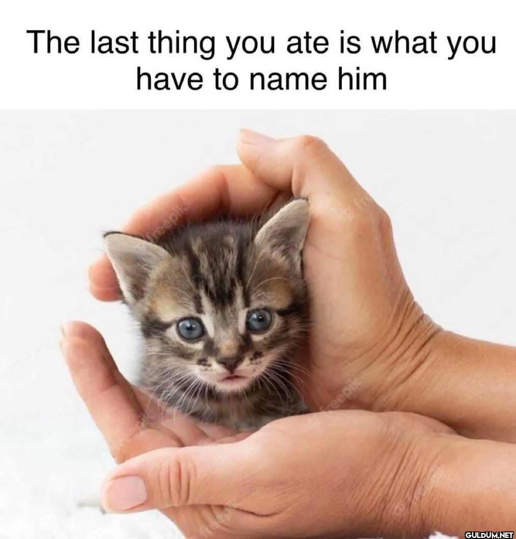 The last thing you ate is...