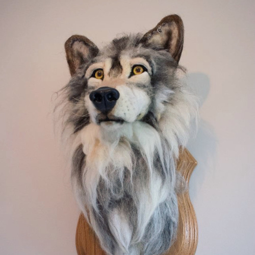 This gorgeous lifesize boy is now complete and up for sale, only on www.taxidermyco.uk 15% of this s