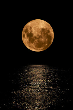vurtual:  Moon light on the river (by CoMyWo)
