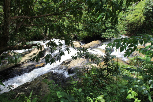 Tone waterfall.Dad let me take pictures of the waterfall on the wayside while going to visit his par