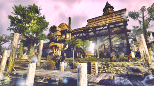 lady-of-cinder:↳ The Elder Scrolls Online : Seyda NeenMorrowind