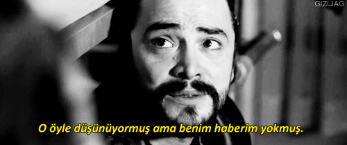 Haybeye yaşayan adam