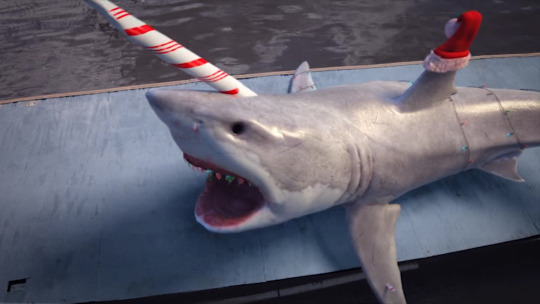 DVD Review: Shark Bait - Broke Horror Fan