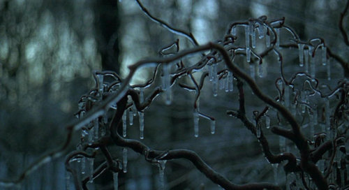 The Ice Storm