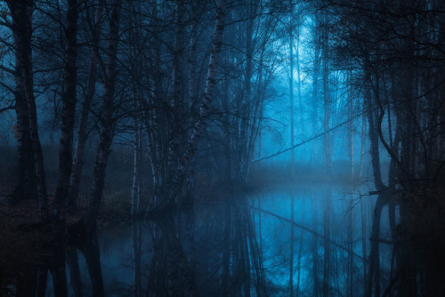 languagesandshootingstars:Moisio, Finland
