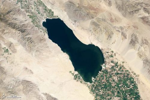 The Salton Sea In 1905, workers were constructing a canal to carry water from the Colorado River on 