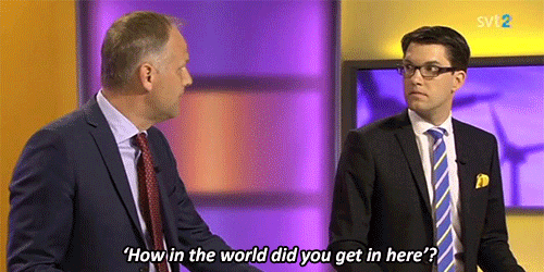 bragd:vanehwasreal:Hold the fuck up, Swedish politics just got one million times betterthe best part