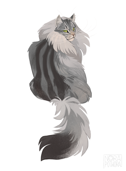 norapotwora:  04 of suggested cats - norwegian forest cat.EDIT: a lot of cool stuff with this handso