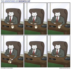 meowoofau:  the adventures of business catPretty