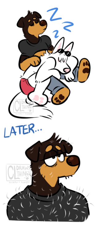 tfw your partner is a fluffy white german shepherd that tends to shedPATREONKo-Fi