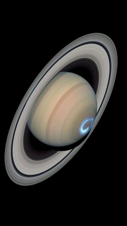 misterlemonzest:  stirsmypassion: opticallyaroused:  Auroras on Saturn, captured by the Hubble Telescope  http://stirsmypassion.tumblr.com/archive  MisterLemonZest | http://MisterLemonZest.tumblr.com/archive