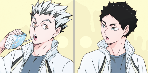 koutawoo
