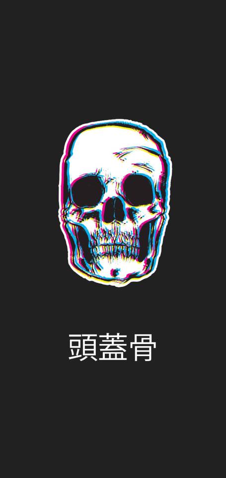 skulls on Tumblr