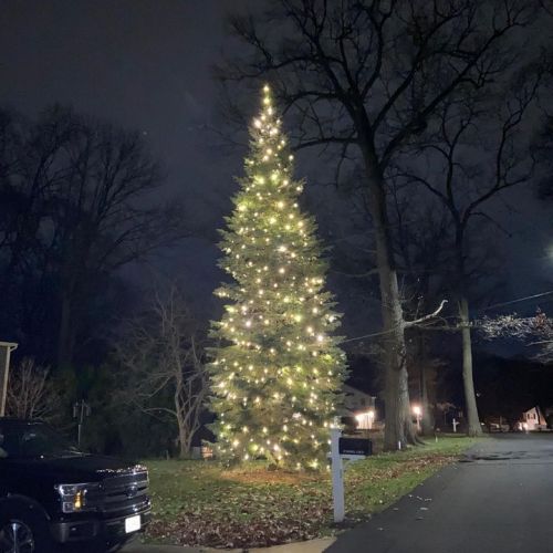 christmaslightinstallation-blog