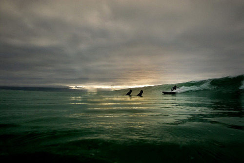 Sueños de la Playa