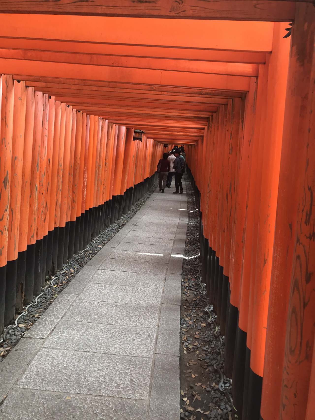 旅行記 旅行記