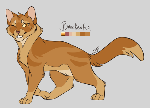 Designing WC - Brackenfur - ThornclawTwin brothers. I enjoy the concept the they look a lo