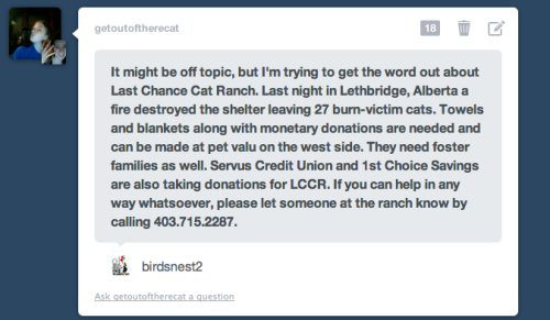 getoutoftherecat:  for reblogging, by request