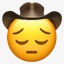 phantomcowboys