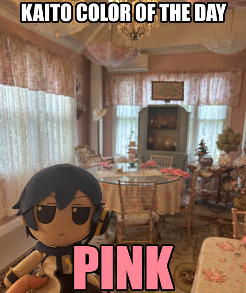 Kaito's Color Of The Day: Pink