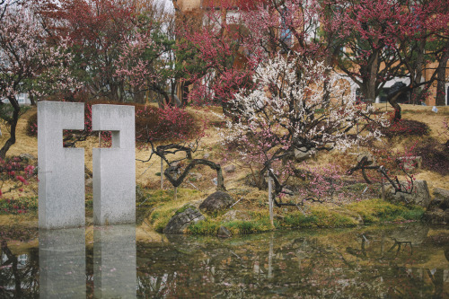 2022-03-13Suncheon Gospel ChurchCanon EOS R3 + RF50mm f1.2LInstagram  |  hwantastic79vivid