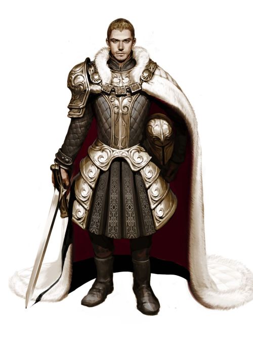 knightandknights: by snod Paladin Lord Commander.