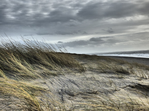 tempête