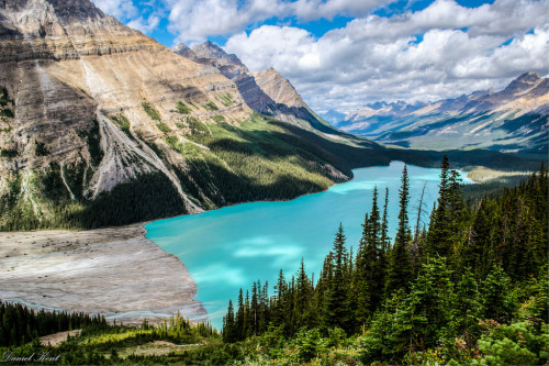 Peyto Lake, Banff National Park