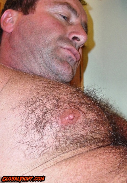 wrestlerswrestlingphotos: Hairy Musclebear Pecs from GLOBALFIGHT profiles