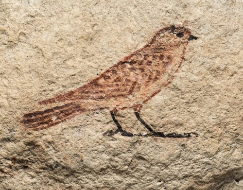 Artist's Sketch Of A Sparrow (ca. 14791458 B.C.)