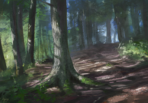 Forest study based on a photo I took years ago.