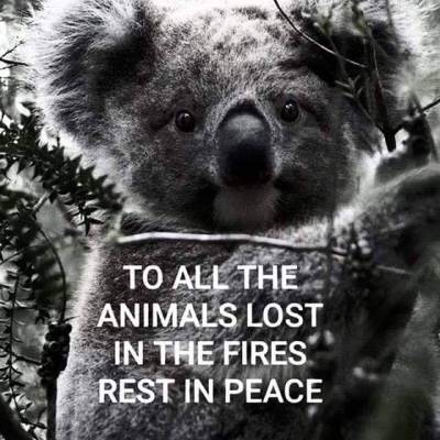 chopped-peace-collection: