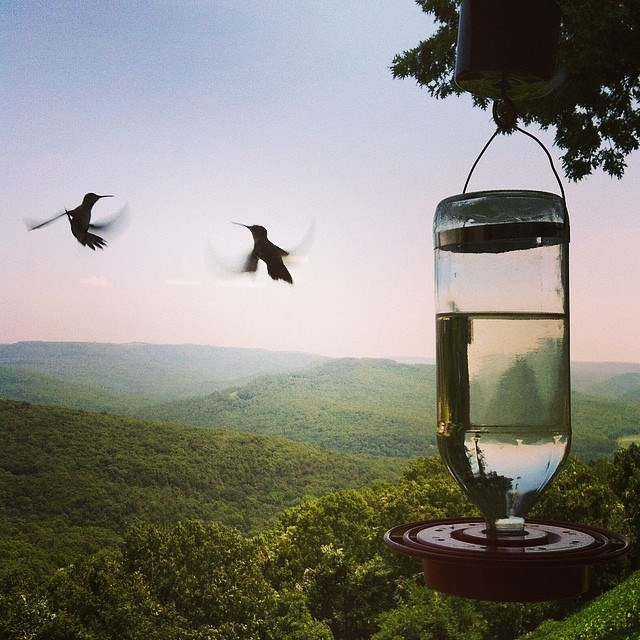 nightoesphere:  by   LaneyButler 