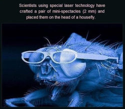 advice-animal:  This Is Why I Love Sciencehttp://advice-animal.tumblr.com/