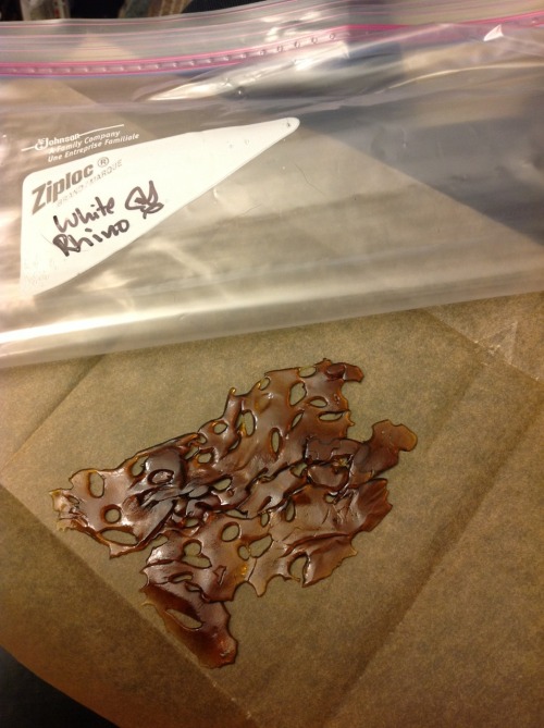 lyttleski:  lyttleski:  Just picked up this 10g slab of White Rhino  Ahh  T’was a good slab indeed.  I was glad to share its company for a week